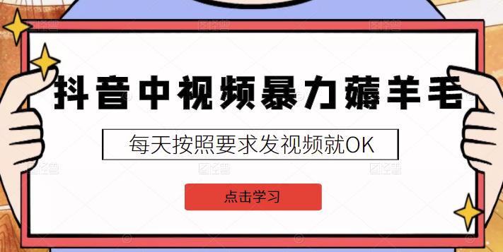 2022抖音中视频暴力薅羊毛白嫖项目：新号每天20块，老号几天几百块，可多号￼-蚂蚁汇资源分享项目网
