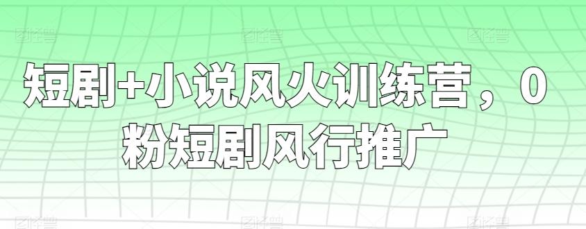 短剧+小说风火训练营，0粉短剧风行推广-蚂蚁汇资源分享项目网