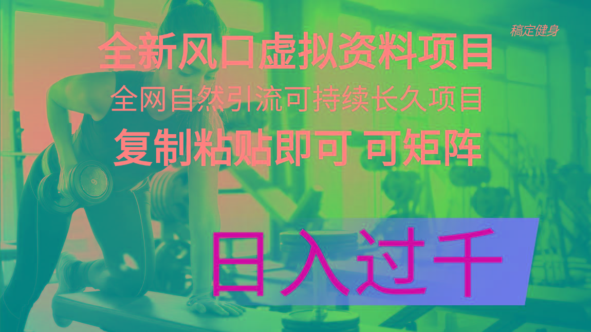 全新风口虚拟资料项目 全网自然引流可持续长久项目 复制粘贴即可可矩阵…-蚂蚁汇资源分享项目网