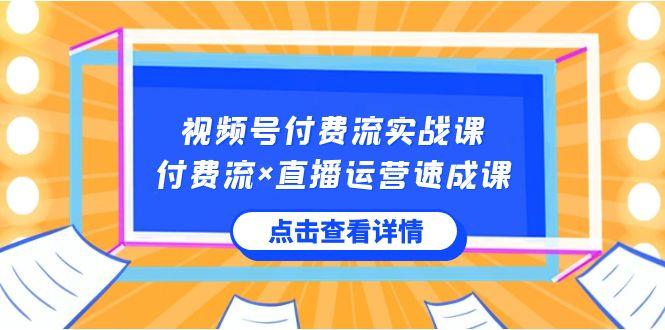 视频号付费流实战课，付费流×直播运营速成课，让你快速掌握视频号核心运营技能-蚂蚁汇资源分享项目网