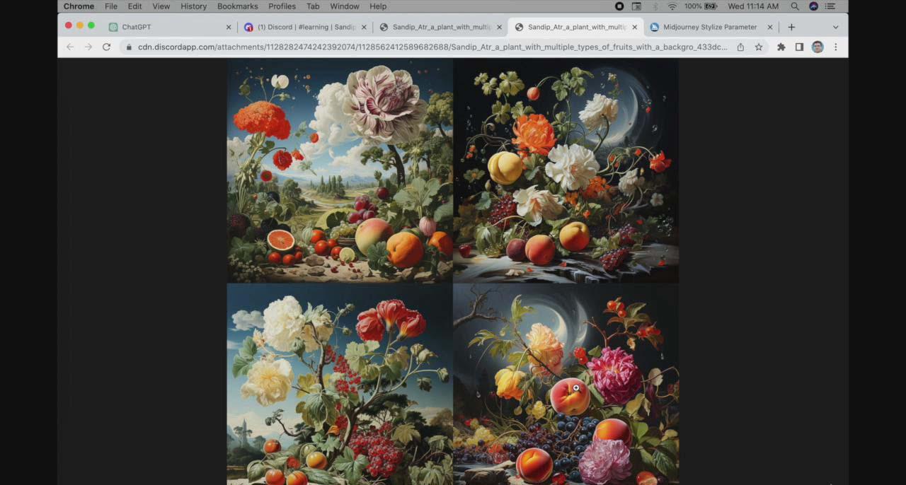 图片[1]-ChatGPT4 和 MidJourney AI 绘画聊天革命性指南教程-33节视频课-中英字幕-蚂蚁汇资源分享项目网