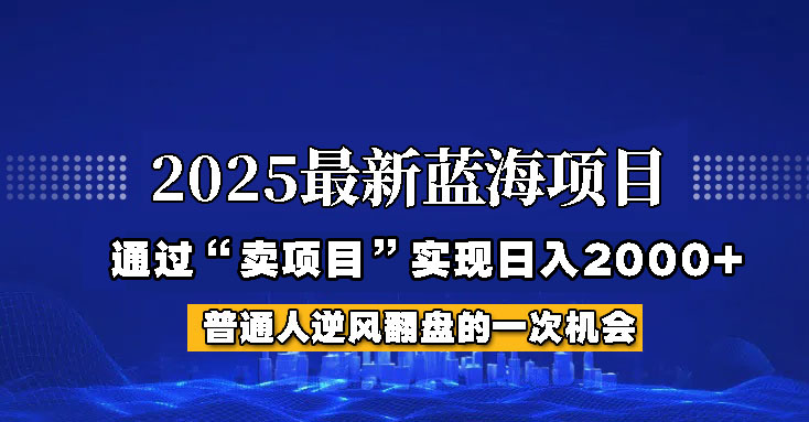 2025年蓝海项目，如何通过“网创项目”日入2000+-蚂蚁汇资源分享项目网