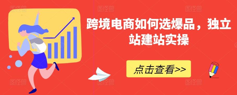 跨境电商如何选爆品，独立站建站实操-蚂蚁汇资源分享项目网