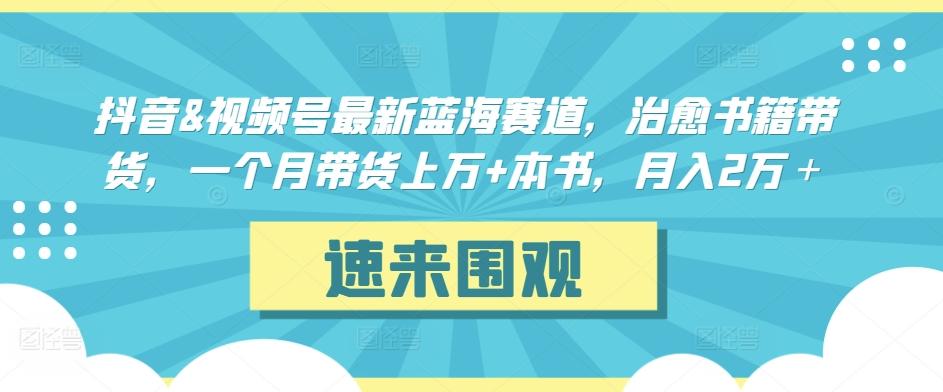 抖音&视频号最新蓝海赛道，治愈书籍带货，一个月带货上万+本书，月入2万＋【揭秘】-蚂蚁汇资源分享项目网