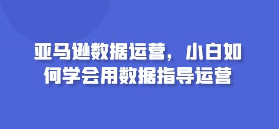 亚马逊数据运营，小白如何学会用数据指导运营-蚂蚁汇资源分享项目网