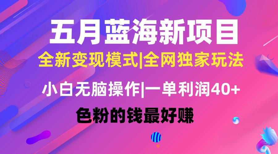 五月蓝海项目全新玩法，小白无脑操作，一天几分钟，矩阵操作，月入4万+-蚂蚁汇资源分享项目网