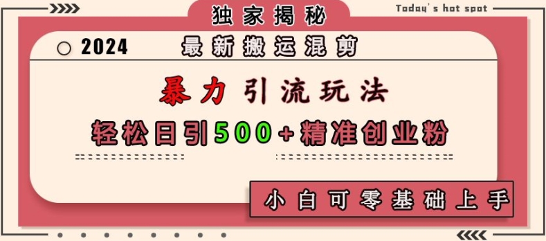 最新搬运混剪暴力引流玩法，轻松日引500+精准创业粉，小白可零基础上手-蚂蚁汇资源分享项目网