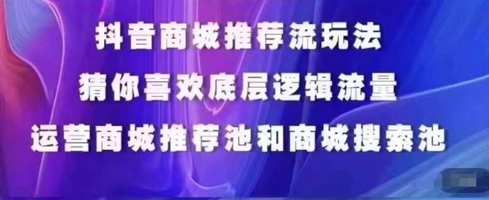 抖音商城运营课程，猜你喜欢入池商城搜索商城推荐人群标签覆盖-蚂蚁汇资源分享项目网