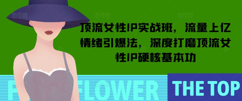 顶流女性IP实战班，流量上亿情绪引爆法，深度打磨顶流女性IP硬核基本功-蚂蚁汇资源分享项目网