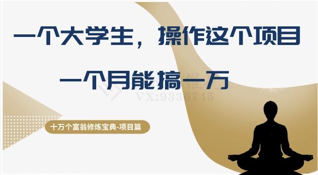 十万个富翁修炼宝典之4.一个大学生操作这个项目，一个月能搞一万-蚂蚁汇资源分享项目网