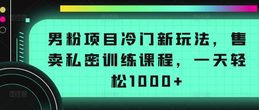 男粉项目冷门新玩法，售卖私密训练课程，一天轻松1000+【揭秘】-蚂蚁汇资源分享项目网