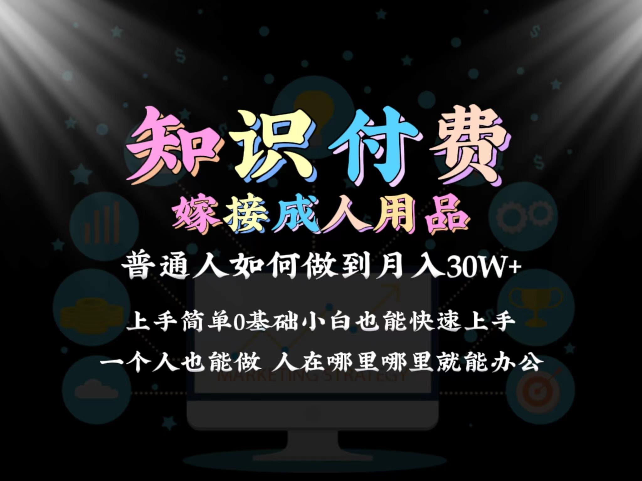 2024普通人做知识付费结合成人用品如何实现单月变现30w 保姆教学1.0-蚂蚁汇资源分享项目网