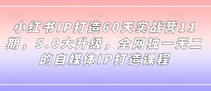 小红书IP打造60天实战营11期，5.0大升级，全网独一无二的自媒体IP打造课程-蚂蚁汇资源分享项目网