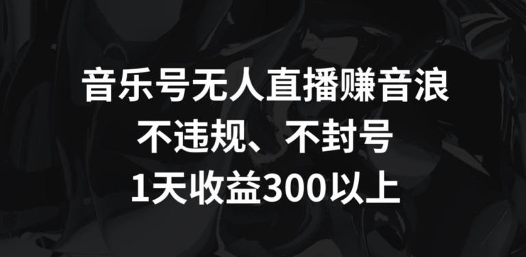 音乐号无人直播赚音浪，不违规、不封号，1天收益300+【揭秘】-蚂蚁汇资源分享项目网