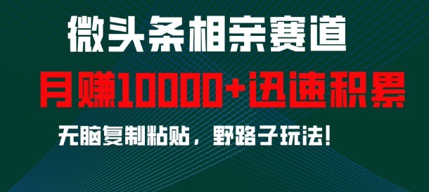 微头条相亲赛道，迅速积累，无脑复制粘贴，野路子玩法，月入1w-蚂蚁汇资源分享项目网
