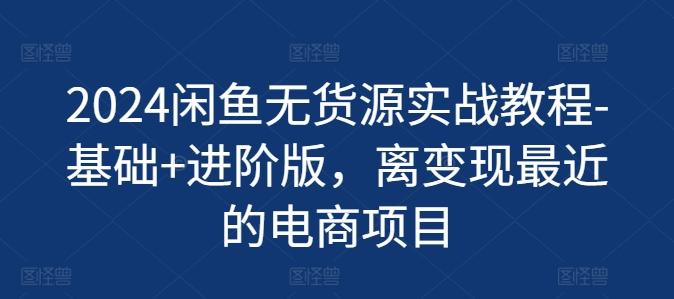 2024闲鱼无货源实战教程-基础+进阶版，离变现最近的电商项目-蚂蚁汇资源分享项目网