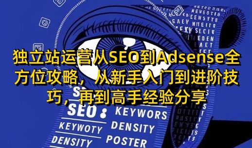 独立站运营从SEO到Adsense全方位攻略，从新手入门到进阶技巧，再到高手经验分享-蚂蚁汇资源分享项目网