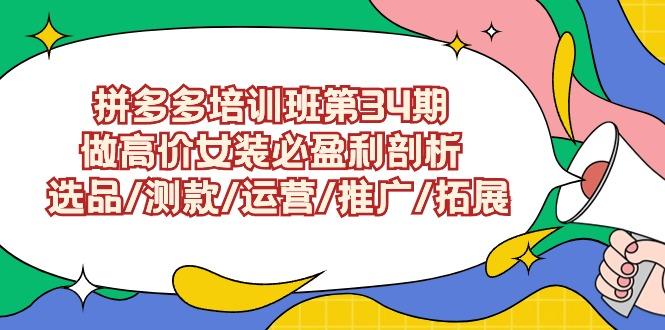 (9333期)拼多多培训班第34期：做高价女装必盈利剖析  选品/测款/运营/推广/拓展-蚂蚁汇资源分享项目网