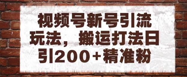 视频号新号引流玩法，搬运打法日引200+精准粉，可矩阵放大【揭秘】-蚂蚁汇资源分享项目网