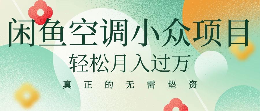 闲鱼卖空调小众项目 轻松月入过万 真正的无需垫资金-蚂蚁汇资源分享项目网