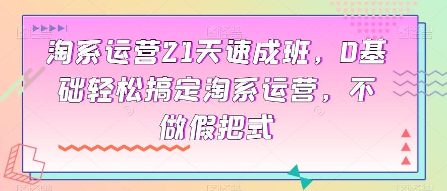 淘系运营21天速成班，0基础轻松搞定淘系运营，不做假把式-蚂蚁汇资源分享项目网