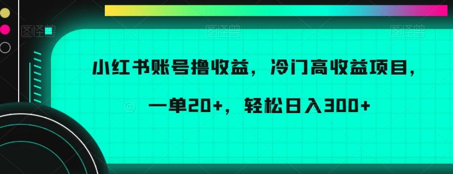 小红书账号撸收益，冷门高收益项目，一单20+，轻松日入300+【揭秘】-蚂蚁汇资源分享项目网