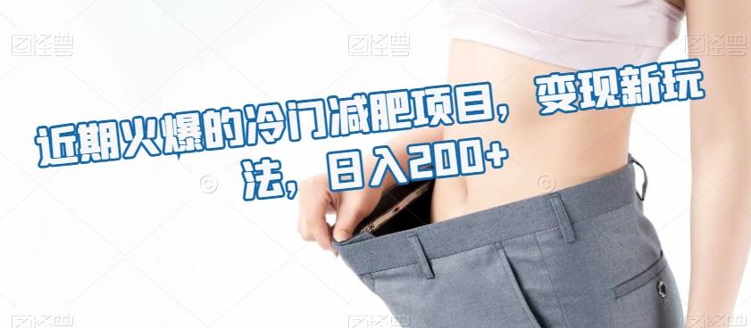 近期火爆的冷门减肥项目，变现新玩法，日入200+-蚂蚁汇资源分享项目网