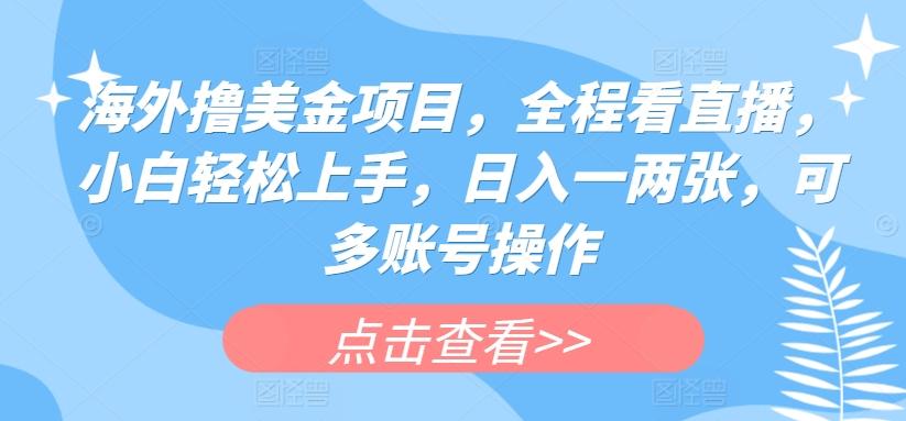 海外撸美金项目，全程看直播，小白轻松上手，日入一两张，可多账号操作【揭秘】-蚂蚁汇资源分享项目网