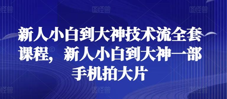 新人小白到大神技术流全套课程，新人小白到大神一部手机拍大片-蚂蚁汇资源分享项目网