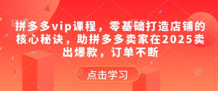 拼多多vip课程，零基础打造店铺的核心秘诀，助拼多多卖家在2025卖出爆款，订单不断-蚂蚁汇资源分享项目网
