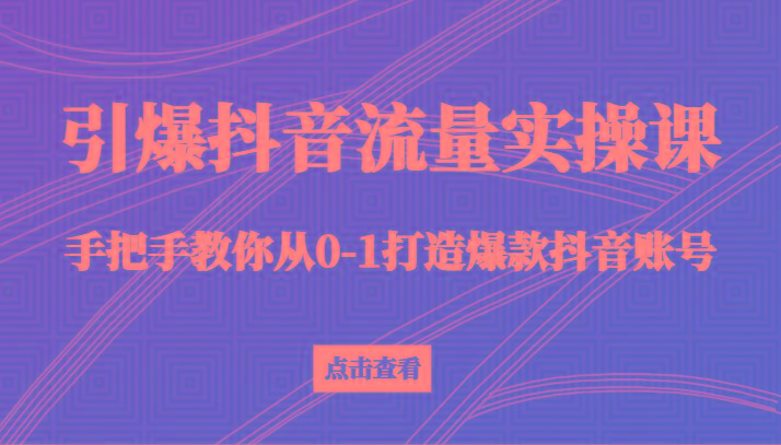 引爆抖音流量实操课，手把手教你从0-1打造爆款抖音账号(27节课)-蚂蚁汇资源分享项目网