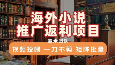 海外小说推广返利项目，视频投喂， 一刀不剪，矩阵批量-蚂蚁汇资源分享项目网