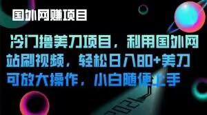冷门撸美刀项目，利用国外网站刷视频，轻松日入80+美刀，可放大操作，小白随便上手-蚂蚁汇资源分享项目网