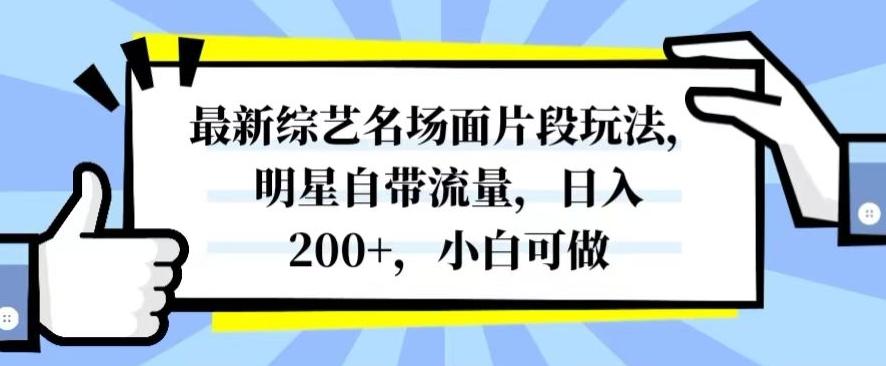 最新综艺名场面片段玩法，明星自带流量，日入200+，小白可做【揭秘】-蚂蚁汇资源分享项目网