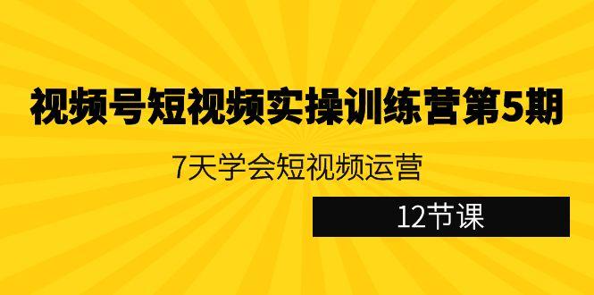 视频号短视频实操训练营第5期：7天学会短视频运营(12节课)-蚂蚁汇资源分享项目网