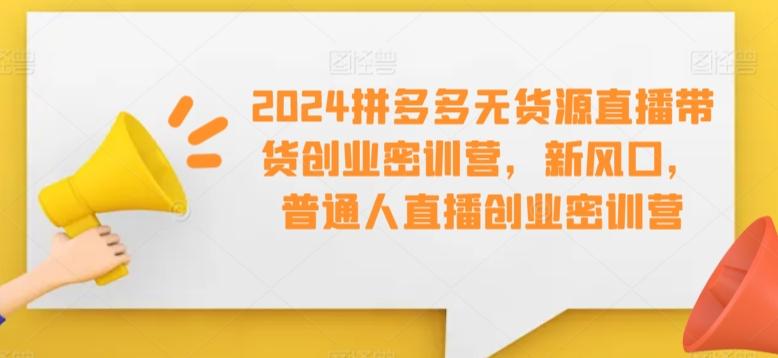 2024拼多多无货源直播带货创业密训营，新风口，普通人直播创业密训营-蚂蚁汇资源分享项目网