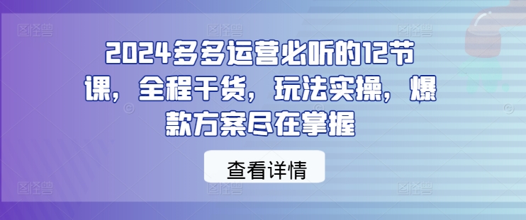 2024多多运营必听的12节课，全程干货，玩法实操，爆款方案尽在掌握-蚂蚁汇资源分享项目网