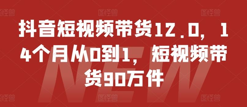 抖音短视频带货12.0，14个月从0到1，短视频带货90万件-蚂蚁汇资源分享项目网
