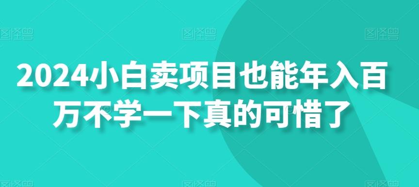 2024小白卖项目也能年入百万不学一下真的可惜了-蚂蚁汇资源分享项目网