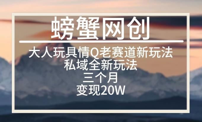 大人玩具情Q用品赛道私域全新玩法，三个月变现20W，老项目新思路【揭秘】-蚂蚁汇资源分享项目网