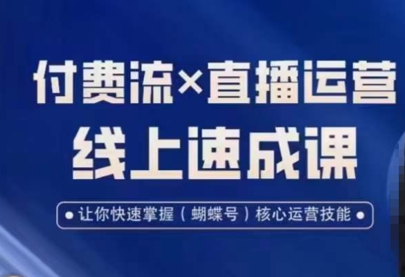 视频号付费流实操课程，付费流✖️直播运营速成课，让你快速掌握视频号核心运营技能-蚂蚁汇资源分享项目网