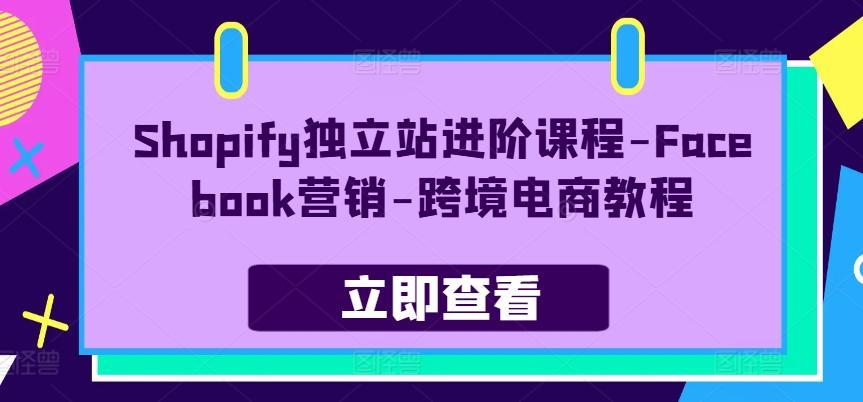 Shopify独立站进阶课程-Facebook营销-跨境电商教程-蚂蚁汇资源分享项目网