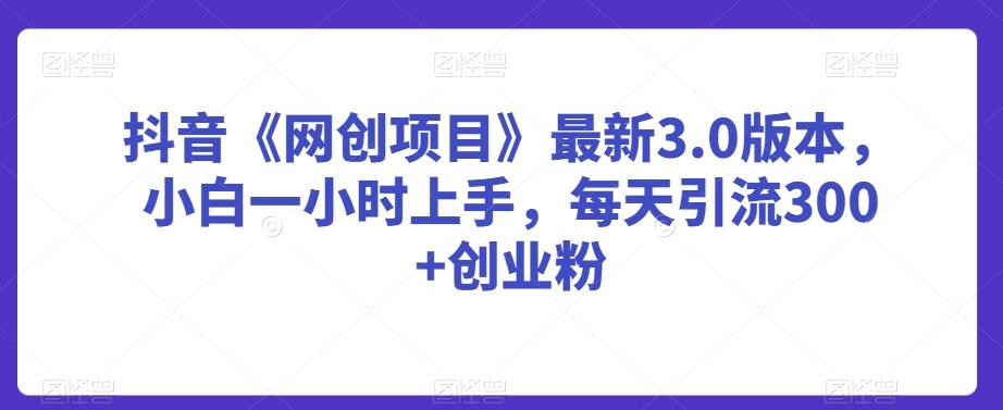 抖音《网创项目》最新3.0版本，小白一小时上手，每天引流300+创业粉【揭秘】-蚂蚁汇资源分享项目网