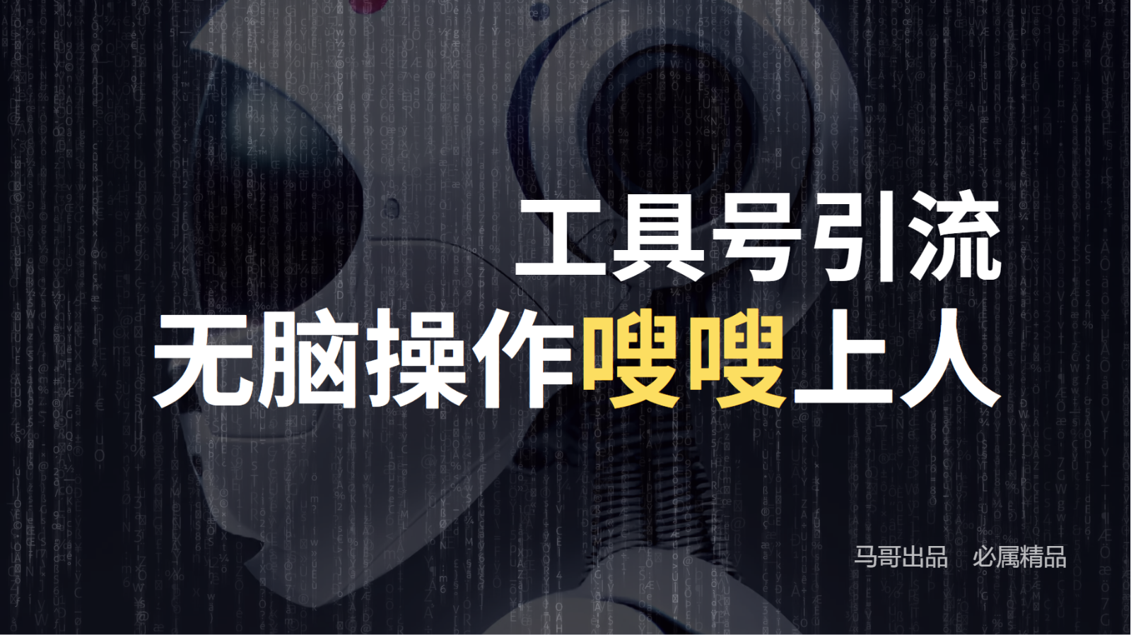 工具号高效引流法，嗖嗖上人，日引1000+，直接搬运，无脑操作-蚂蚁汇资源分享项目网