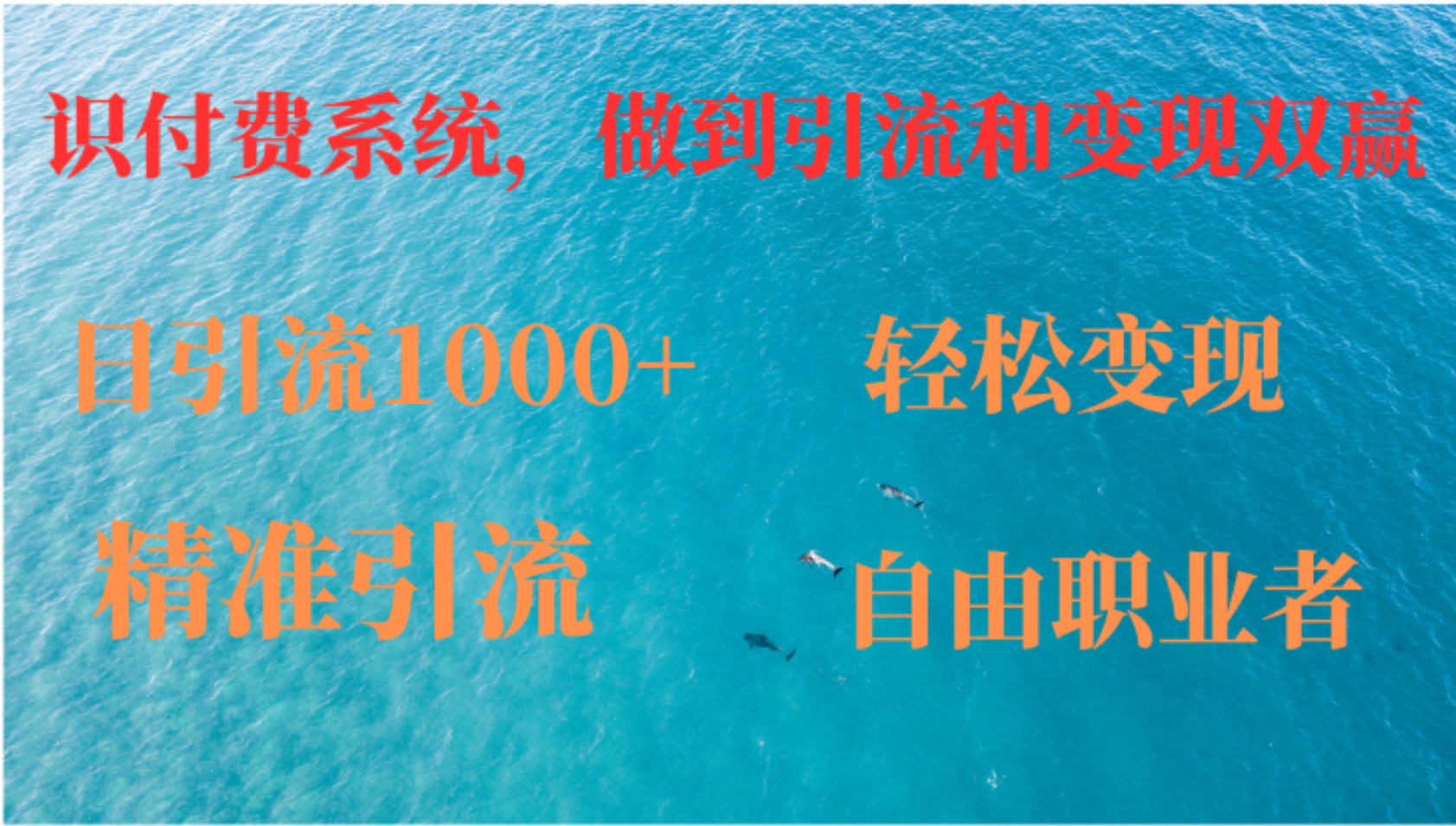 如何搭建自己的知识付费系统，做到引流和变现双赢-蚂蚁汇资源分享项目网