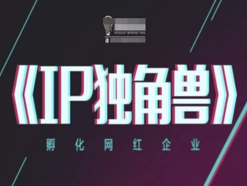 IP独角兽，孵化网红企业，ip教程-蚂蚁汇资源分享项目网