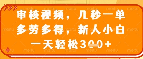 审核视频，几秒一单，多劳多得，新人小白一天轻松3张【揭秘】-蚂蚁汇资源分享项目网