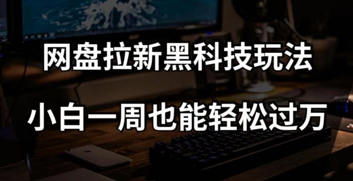 网盘拉新黑科技玩法，小白一周也能轻松过万【全套视频教程+黑科技】【揭秘】-蚂蚁汇资源分享项目网