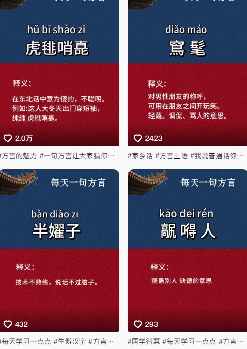 抖音最新涨粉玩法，图文方言暴力涨粉实操，126作品涨粉11W-蚂蚁汇资源分享项目网