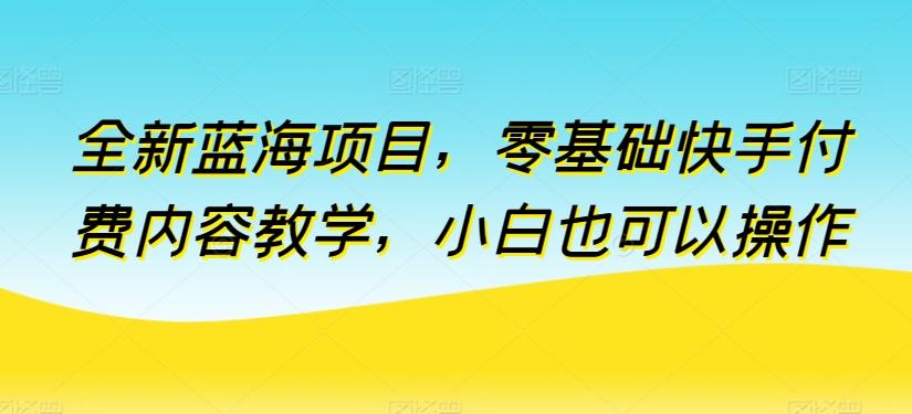 全新蓝海项目，零基础快手付费内容教学，小白也可以操作【揭秘】-蚂蚁汇资源分享项目网